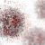 Immunoterapia nowotworów – przeciwciała anty-PD-1 i anty-PD-L1