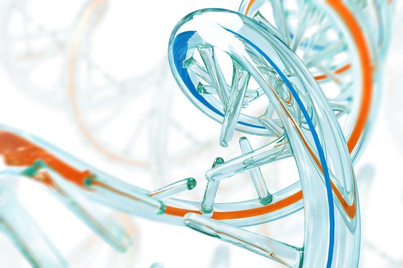 personalizowana medycyna