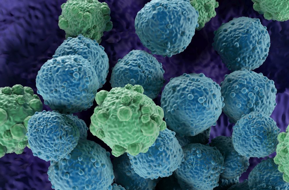 limfocyty T regulatorowe