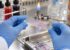Zagrożenie epidemią dżumy w Europie? Ekspert szacuje ryzyko